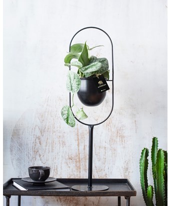 Ayaklı Saksıda Sarmaşık 55 cm